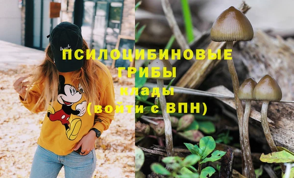 apvp Володарск