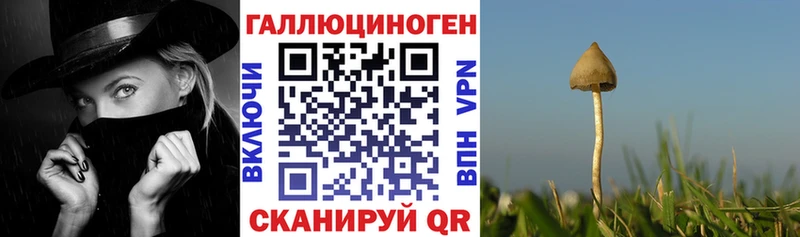 Галлюциногенные грибы ЛСД  купить  цена  Вольск 